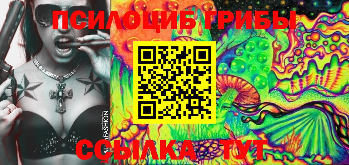 Псилоцибиновые грибы мицелий Балахна