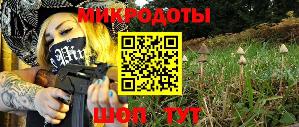 Галлюциногенные грибы MAGIC MUSHROOMS  Псилоцибиновые грибы Psilocybine cubensis  Вход с VPN  Балахна 
